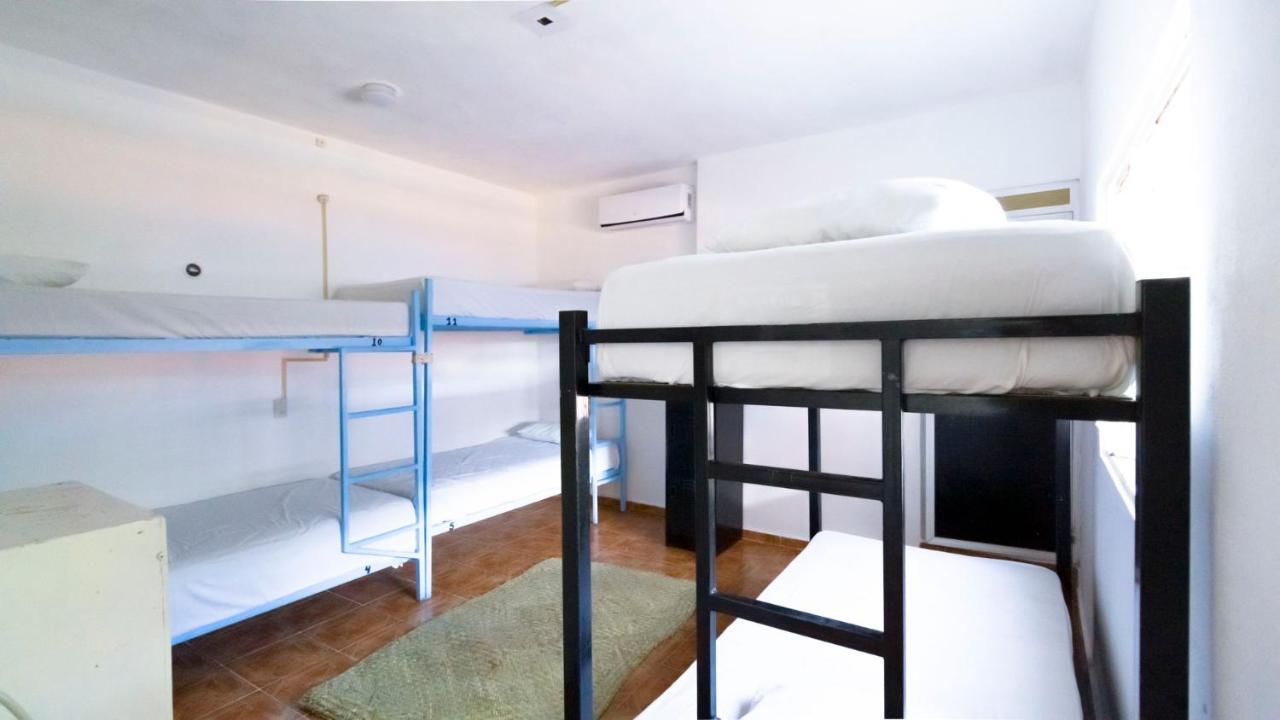 Weary Traveler Hostel Tulum Room photo